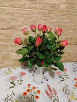 Фотография пользователя Karolina198822