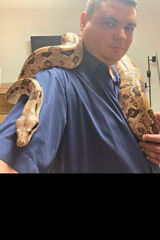 Zdjęcie użytkownika moto891988