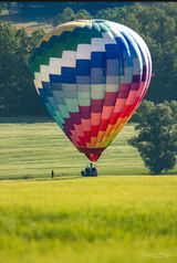 Foto pengguna grzegorznowak27111