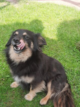 Zdjęcie użytkownika Bar7eek