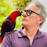 Фотография пользователя David011