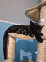 Benutzerfoto wiczkaa420