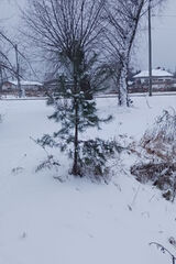 Фотография пользователя PabloPablo1979