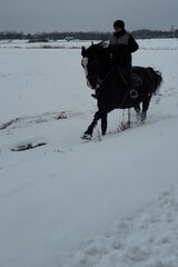 Foto pengguna RafalW76