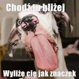 Zdjęcie użytkownika robertkimpinski5