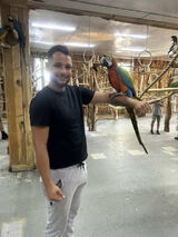 Foto pengguna Karleone11