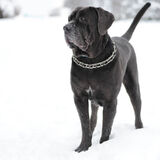 Zdjęcie użytkownika Wielki1111111111