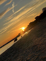 Benutzerfoto beeeighty