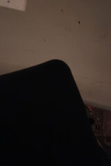 Zdjęcie użytkownika serpentyna1111