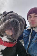 Zdjęcie użytkownika chmielewskisebas67