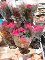 Zdjęcie użytkownika Lesekw