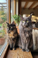 Фотография пользователя oliwcia20062006