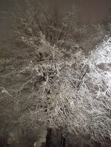 Фотография пользователя Michalekkociarek