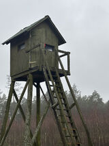 Zdjęcie użytkownika Michalgr1984