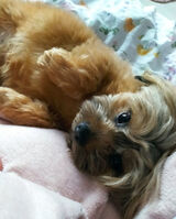 Zdjęcie użytkownika Maagdaa92