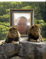 Zdjęcie użytkownika jasitek69