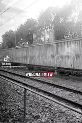 Фотография пользователя IzkaxD