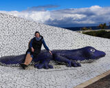 Zdjęcie użytkownika NIKI76