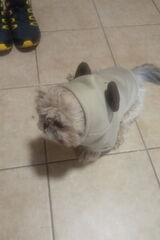 Photos szymonszymon22