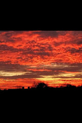 Zdjęcie użytkownika oral1234