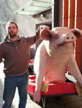 Фото користувача u8212791637