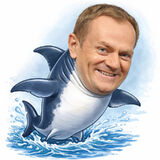 Zdjęcie użytkownika adrianobermeister