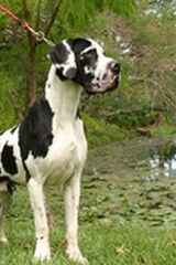 Foto pengguna Spory22