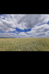 Foto utilizatorului kasiaq123