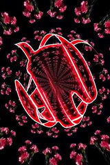 Fotos michalgrzybowski17