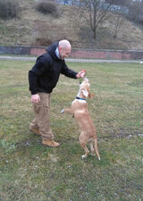 Zdjęcie użytkownika Tomitom37