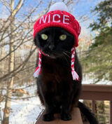 Zdjęcie użytkownika arkadiuszmisiak447