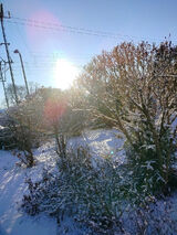 Foto pengguna kaskakowalczyk56