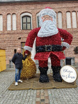 Photos adamtraczyk290972