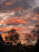 Foto pengguna Louisa997