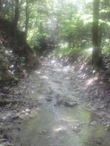 Foto pengguna ParysZd