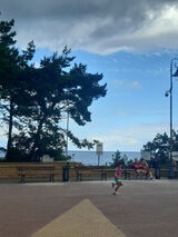 Zdjęcie użytkownika dorcia8708