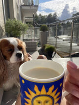 Zdjęcie użytkownika wwtgjzr9r