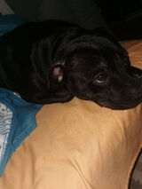 Foto utilizatorului tomekmac800