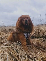 Photos andrzejkwiatkows41