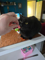 Фотография пользователя kuba7sj