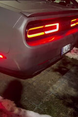 Zdjęcie użytkownika Catblockchain91