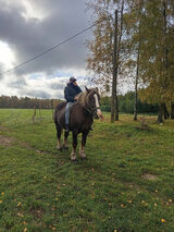 Фотография пользователя maraskaro6