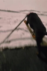 Zdjęcie użytkownika KiziaChuda