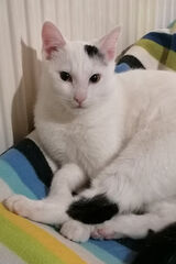 Foto pengguna Klaudiusz19982