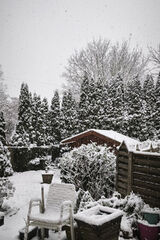 Фотография пользователя bremertoy