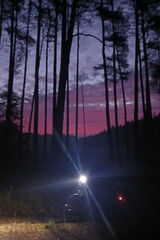 Foto pengguna Sobaczewski