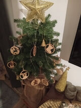 Фото користувача AdamAdam344