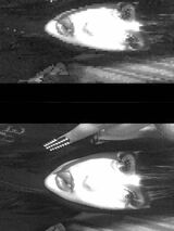 Фотография пользователя kochamlysych