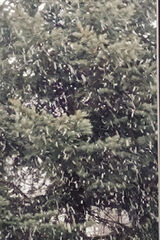 Foto pengguna Karol83Buli