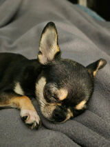 Foto utilizatorului Sebastian9358